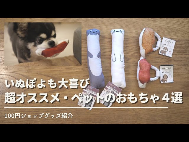 100均】大人気カワウソの超おすすめペットおもちゃ【Seria・セリア