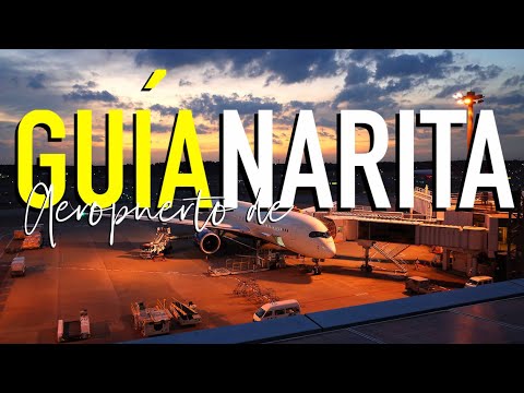 Video: Guía del aeropuerto internacional de Narita