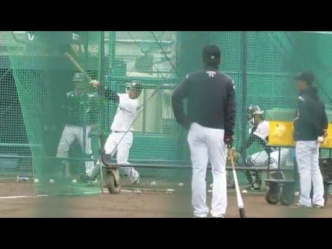 16.3.18　投手成田翔　打者平沢大河　ロッテ浦和練習