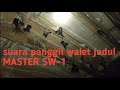 Suara Panggil Walet Master Sw Mp3 - Mp4 Download