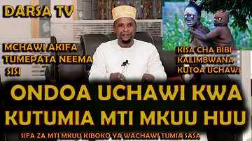 Sifa Za Mti Mkuu Kiboko Ya Wachawi / Ondoa Uchawi Nyumbani Kwako Kwa Mti Huu/ Ustaidh Jafar Mchawi