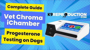 Complete Guide to Progesterone Testing on Dogs with Vet Chroma iChamber