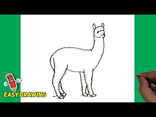 Desenhos fáceis para você fazer #55 (Alpaca) ❤️ #alpaca #draw