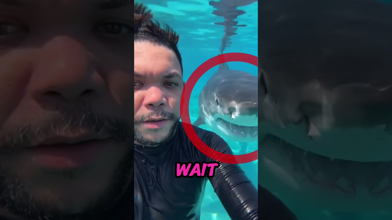   - YouTube Auto PHP Script