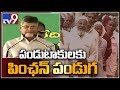 Chandrababu Naidu doubles pension amount to Rs 2,000 - TV9