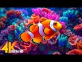 Aquarium 4K VIDEO (ULTRA HD) 🐠 Beautiful Coral Reef Fish - Relaxing Sleep Meditation Music