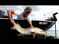 Fishing touche dun brochet metre au leurre en bateau sur le lac alpin de neuchtel  2018