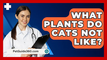 What Plants Do Cats Not Like? - PetGuide360.com