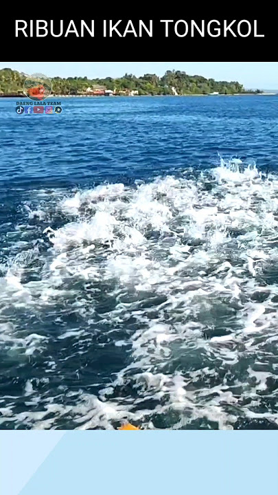 Thousands of Fish Boiling in Front of the Boat #fishing #tunafishing #bigtuna #bigfishcutting #se...