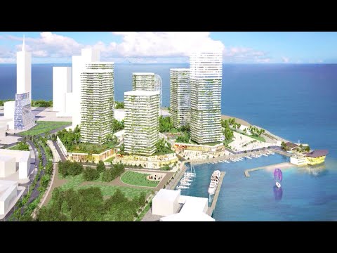 რივიერას თაობაზე მიღებული ყველა გადაწყვეტილება კანონიერია - ლევან დავითაშვილი