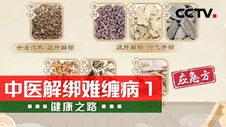 失眠为何难缠？病因大揭秘 方法全囊括 20240506 中医解绑难缠病 1 | CCTV科教《健康之路》