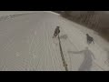 Dog racing on skis, aka Skijor!