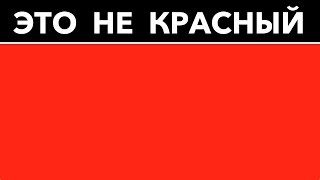 ЭТО НЕ КРАСНЫЙ! 5 ТЕСТОВ, КОТОРЫЕ ПРОВЕРЯТ ВАШ МОЗГ ЭТО НЕ КРАСНЫЙ! 5 ТЕСТОВ, КОТОРЫЕ ПРОВЕРЯТ ВАШ МОЗГ