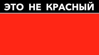 ЭТО НЕ КРАСНЫЙ! 5 ТЕСТОВ, КОТОРЫЕ ПРОВЕРЯТ ВАШ МОЗГ