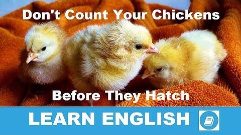 Don’t Count Your Chickens Before They Hatch - English Idiom