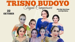 Download lagu Tayub Trisno Budoyo Pimp Bpk sutrisno Hajat Bpk hari bulurejo Ngantang Malang
