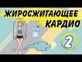 КАРДИО ТРЕНИРОВКА ДЛЯ СЖИГАНИЯ ЖИРА | Скакалка для БЫСТРОГО похудения | #2