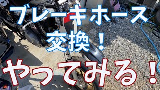 【バイク整備】XR100Mのブレーキホース交換【素人】