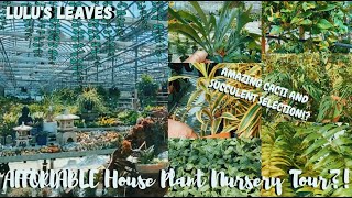 AFFORDABLE House Plant Nursery Tour!! | Bradford Greenhouses Garden Gallery