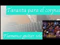 Taranta (tomatito guitar cover) 29.1.7 flamenco guitar