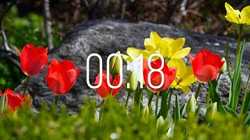 18 Second Timer with Music | Spring Timer🌹