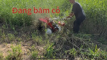 Máy băm cỏ đa năng Nhật Bãi 0982449121