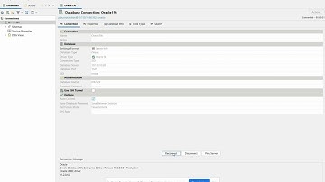 IT 478: DBVisualizer Demo (Perry)