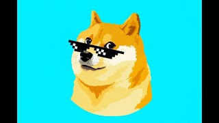 Intro To Doge Gaming