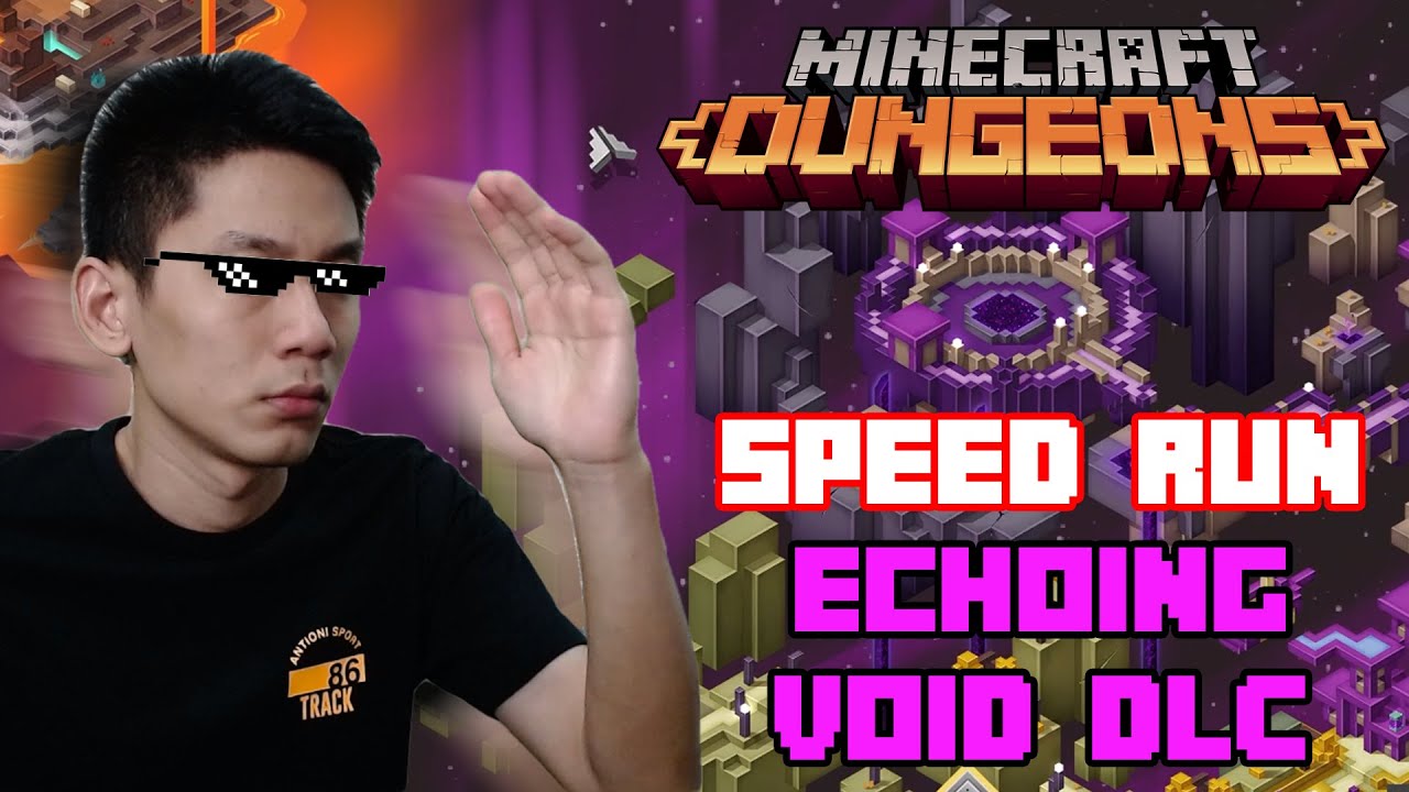 Speed Run Echoing Void DLC, the End of Vengeful Heart of Ender [Default ...