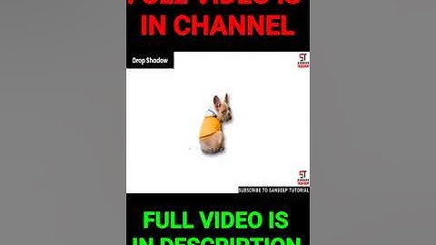 Apply Shadows To Transparent PNG Images With CSS | Sandeep Tutorial 👨‍🏫 📓 #shorts