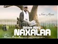Sinishaw Muleta Naxalaa new ethiopian music 2023 Mp3 Song
