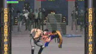 Pit-Fighter