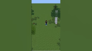 First Mine-Imator Animation: Steve No!!!!!! #minecraftanimationshorts