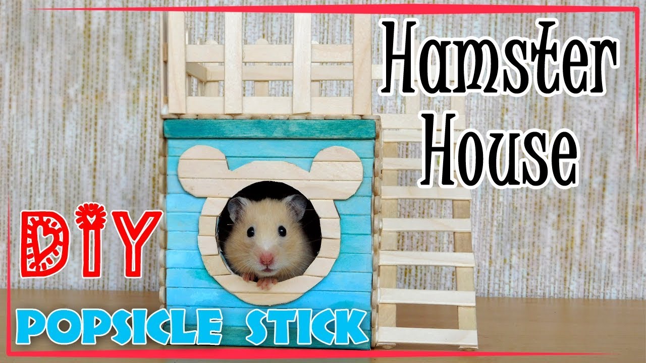 diy hamster house popsicle stick hamster house youtube diy hamster house hamster house hamster diy