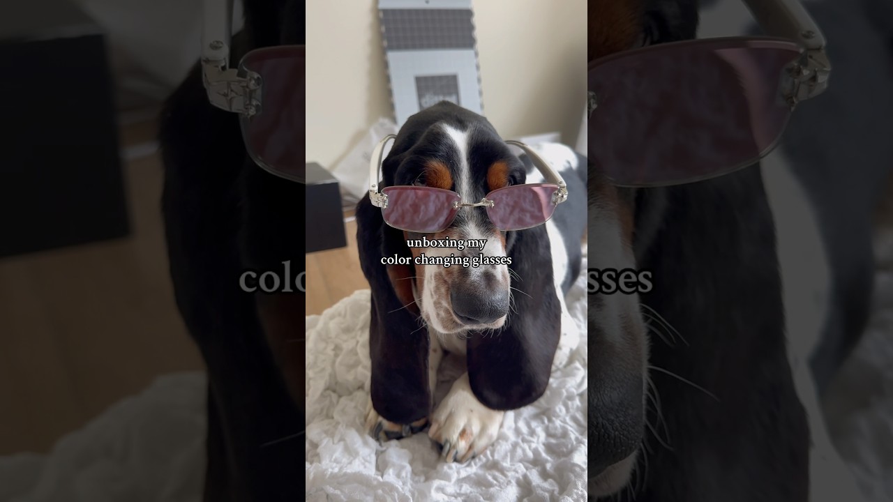 unboxing my new color changing Aura glasses from Chamelo Eyewear 