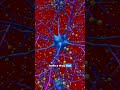The Tech Is Ready. Is Our Soul? The Urgent Call for Emotional Evolution.
