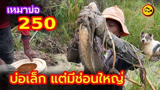 เหมาบ่อ 250บาท บ่อราคาถูกแต่ปลาช่อนใหญ่มาก | Ep.162