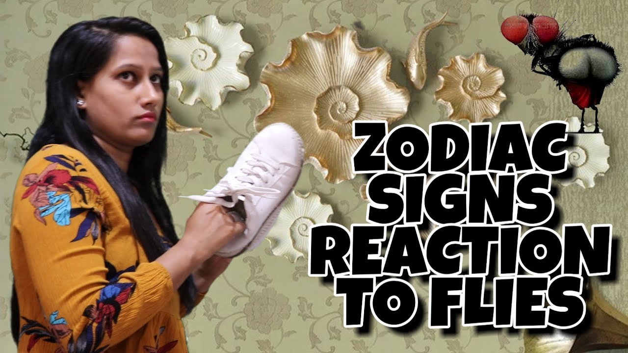 Zodiac Signs reaction to FLIES || ZODIACMORE