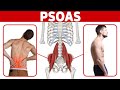 The BEST Way to Release a Tight Psoas Muscle for Low Back Pain and Poor Posture