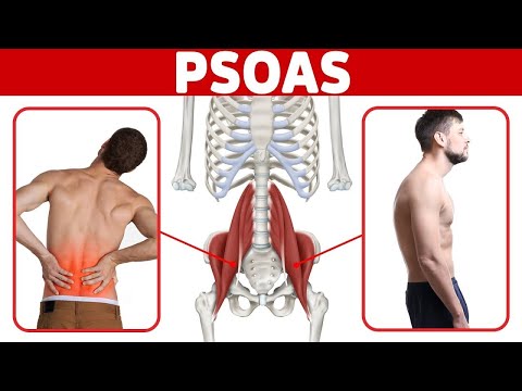 The BEST Way to Release a Tight Psoas Muscle for Low Back Pain and Poor Posture