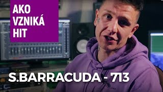 S.Barracuda - 713 (Ako vzniká hit)