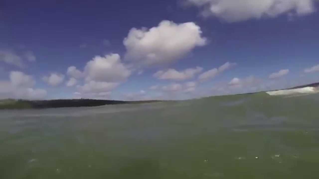 Surfing in Sydney Harbour - YouTube