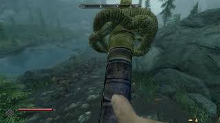 [Skyrim SE] Do Dismembering Framework and Maximum Carnage work together?