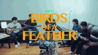Birds Of A Feather Amicis Run