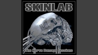 Video thumbnail of "Skinlab - Bullet With Butterfly Wings (Cover Version)"
