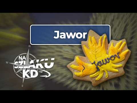 Na szlaku KD, przystanek 6: Jawor