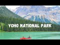 Yoho National Park in British Columbia | Emerald Lake | Takakkaw Falls | Natural Bridge in 4K