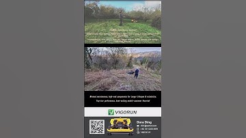 Where buy 2700USD Vigorun VTLM800 radio controlled track-mounted weeder online shipping to Germany