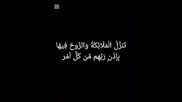 سورة القدر - ياسر الدوسري