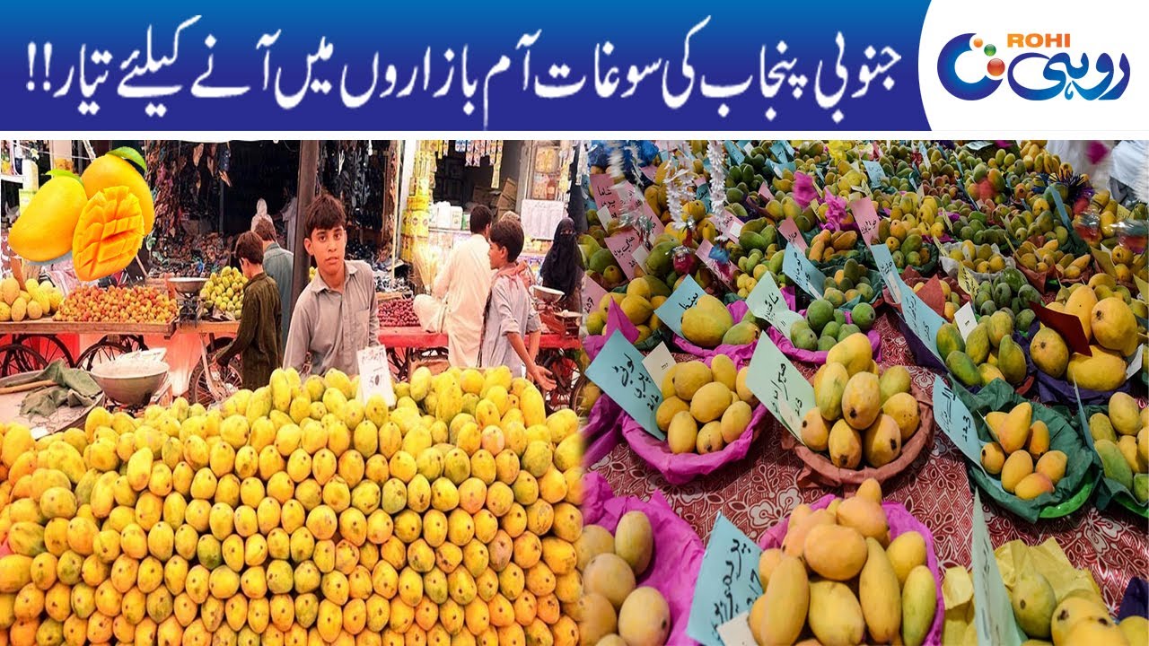 Mango Ready to Come in Markets